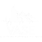 VASE SÍSMICA